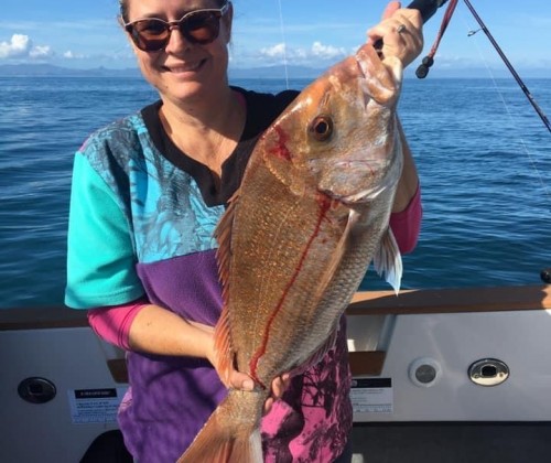 Haines Hunter NZ Auckland Fishing