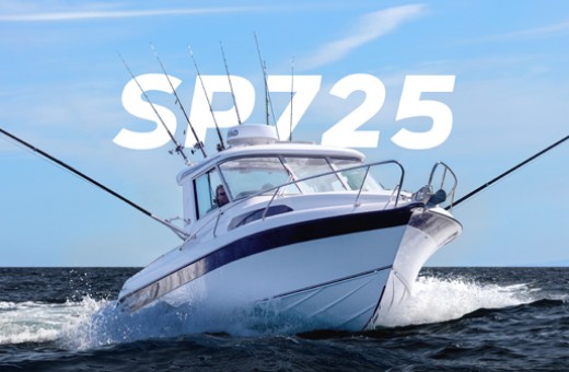 SP725 Sport Pursuit | Haines Hunter