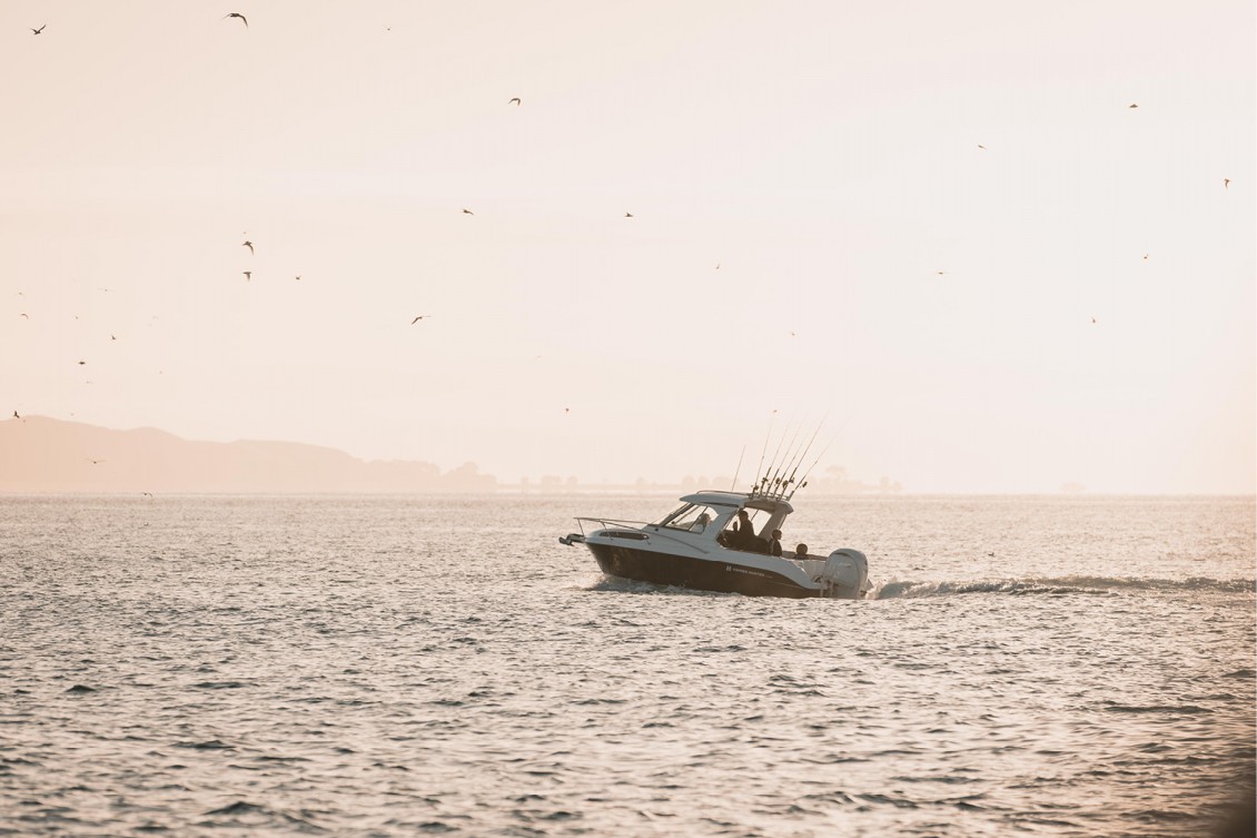 Inshore or out wide, the SP635 is made for it all! | Haines Hunter